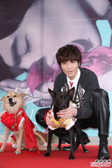 组图：萧敬腾为流浪猫狗证婚 爱猫成痴领养四只