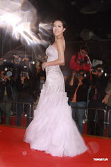 组图：TVB台庆颁奖 众女星红毯争艳