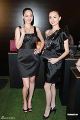 组图：钟楚红打消领养子女念头 恭贺刘德华喜得龙女