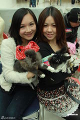 组图：陈静与Liz变身兔女郎 补亲跨年之吻