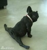 组图：宿舍女生一字马走红网络 美女争相挑战