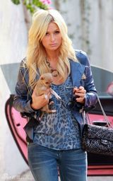 高清图：帕丽斯-希尔顿现身洛杉矶 抱吉娃娃秀名包