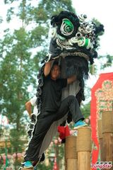 组图：黄秋生徒手断木桩 曾志伟再现狮王雄风