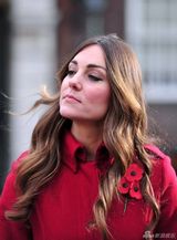 组图:威廉夫妇出席罂粟花日活动凯特坐巴士亲民