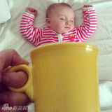 组图：杯子宝宝创意照走红 妈妈齐呼卡哇伊