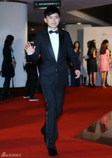 群星闪耀嫣然基金晚宴 王菲旗袍装与李亚鹏恩爱