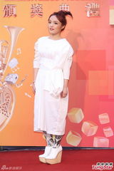 群星亮相金曲奖红毯 蔡依林美腿梁静茹性感(图)