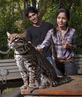 高清组图：《贫民富翁》情侣恩爱畅游动物园