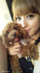 幻灯图集：日本人气美女佐佐木希生活照集锦