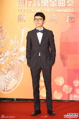 群星亮相金曲奖红毯 蔡依林美腿梁静茹性感(图)