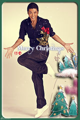 组图：鑫宝源群星贺新年 闪耀荧屏魅力四射