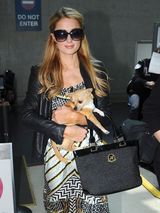 组图：希尔顿抱爱犬抵天使城 机场耐心为人签名