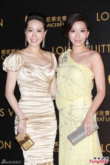 甄子丹妻子否认再办婚礼 阿Sa闭关未见陈伟霆