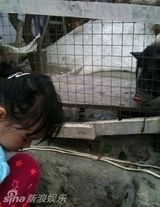 幻灯图：小S微博秀天伦之乐 带女儿看动物现场直播