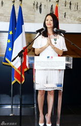 组图：章子怡刘烨获法兰西文学艺术骑士勋章