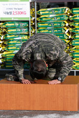 高清组图：韩星玄彬正式退役 众粉丝举牌迎接