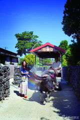 组图：姚笛清新旅游写真 释放快乐情绪