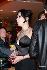 组图：众明星参加时尚派对 刘嘉玲否认与张柏芝不合