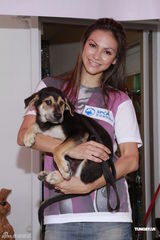 组图：群星呼吁领养宠物 郑融望多关心关淑怡