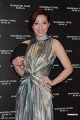 组图：林志玲长裙亮相否认整容 胡兵做电影监制