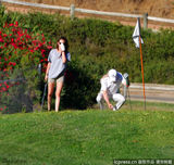 组图：斯图尔特大晒高尔夫球技 挥杆动作英气逼人