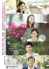 组图：2013中国国际影视节目展部分剧目海报