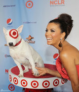 组图：伊娃-朗格利亚低胸礼服亮相 展露好身材