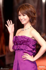 组图：亚太影展女星比美 侯佩岑温碧霞红毯争艳