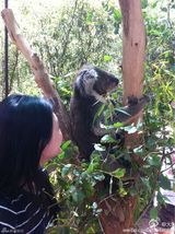 组图：大S婚后生活淡然随性 调养身心享受家人关爱