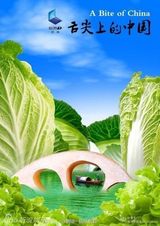 组图：曝海量《舌尖2》海报 美食为景馋涎欲滴