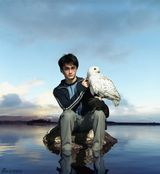 策划：魔法金童变大叔 哈利波特“毁灭”之路