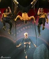 组图：P!nk高空倒吊演唱 与舞伴激情肉搏