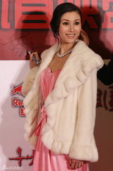 高清组图：《十月围城》首映 李嘉欣黎明亲密结伴