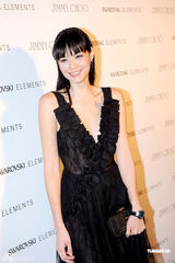 组图：钟楚红杨采妮温碧霞竞艳 三朵靓花竞绽放