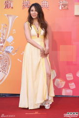 群星亮相金曲奖红毯 蔡依林美腿梁静茹性感(图)