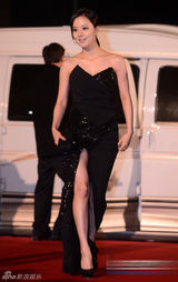 组图：文彩元闪钻高叉礼服性感秀美腿