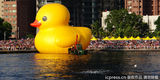 组图：小黄鸭充气萌翻路人 从“荷包蛋”变成鸭