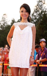 组图：《精忠岳飞》将播 黄晓明拄拐亮相红毯