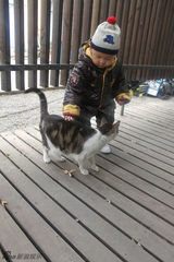 组图：梁静获儿女探班心情大好与孩子户外游玩