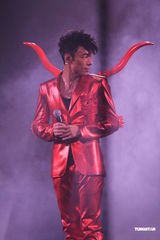 高清组图：许志安香港性感开唱 郑秀文现身不许求婚