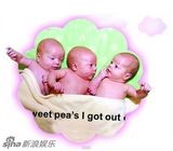 组图：震撼！三胞胎妈妈自拍肚皮变大全程