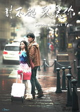 组图：电影《对不起，我爱你》海报及剧照