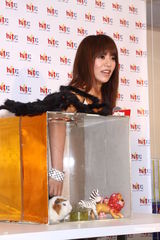 组图：丁当将发新专辑 被恐怖箱吓到尖叫