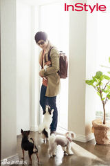 策划：韩星宠物集结号 爱豆们的宠物情人