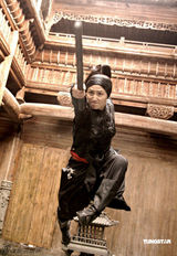 高清：《苏乞儿》剧照曝光 袁和平再创功夫电影传奇