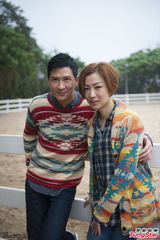 组图：郑秀文、张家辉《失恋急让》海报曝光