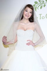 组图：路嘉怡婚宴群星道贺 张震任伴郎