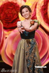 组图：2011香港小姐决选 候选佳丽晚装亮相