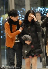 组图：大肚蔡少芬头撞玻璃门张晋贴心安慰