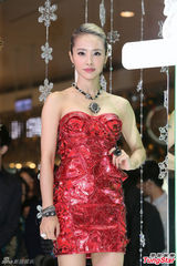 组图：蔡依林出席圣诞派对 抹胸装挤G奶秀美腿